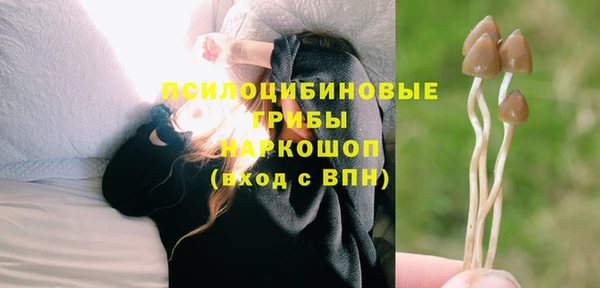 МДМА Алексеевка