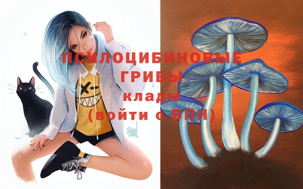 МДМА Алексеевка